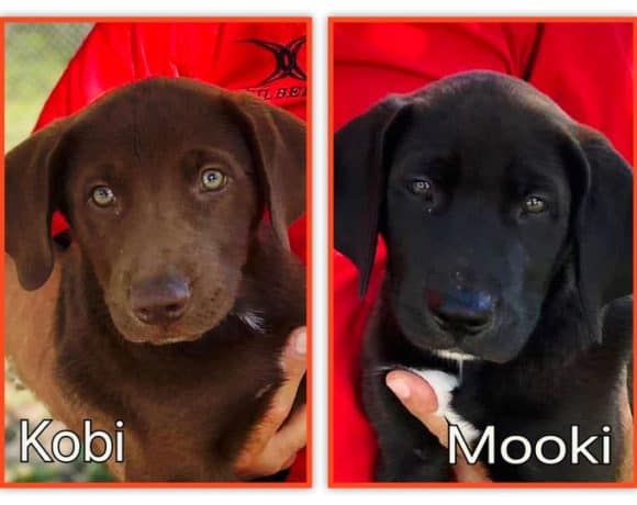 Kobi and Mooki