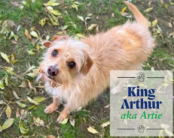 King Arthur