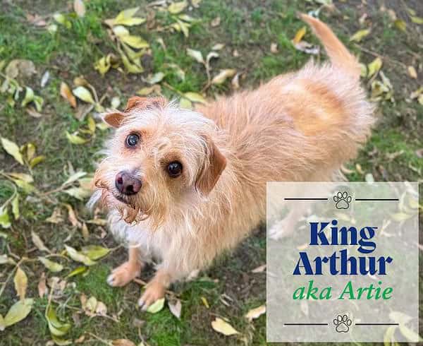 King Arthur