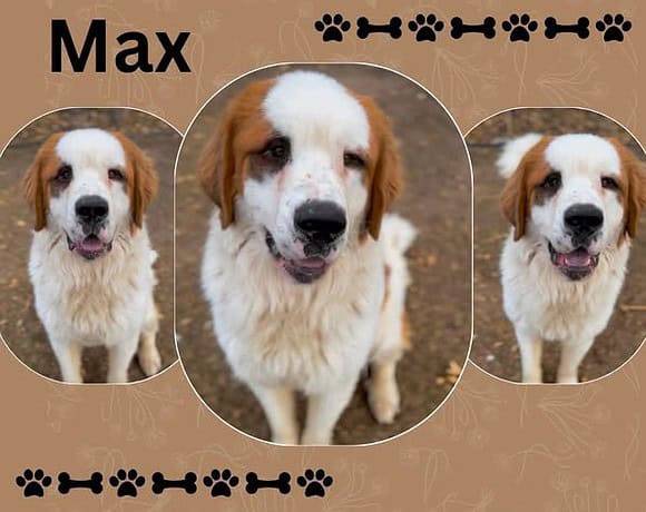 Max