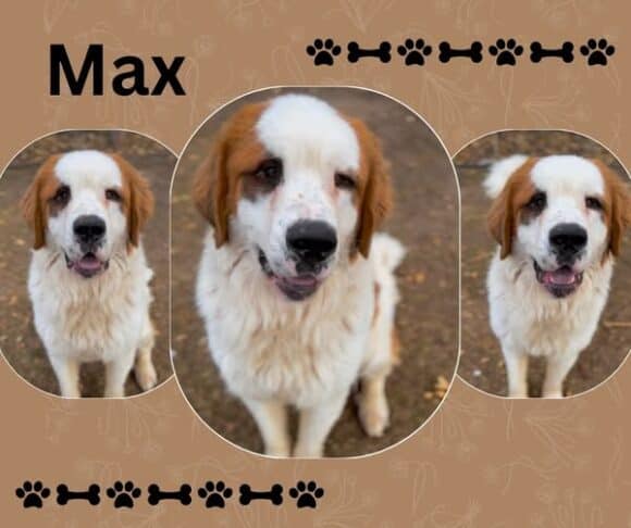 Max