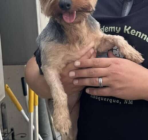 Coco