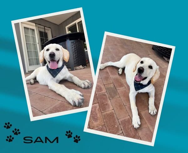 Sam