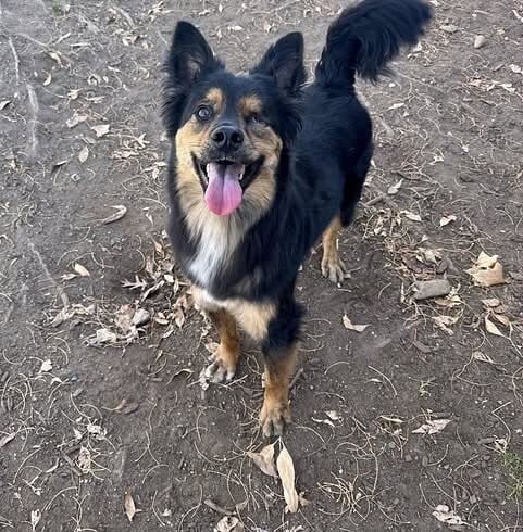 Diego