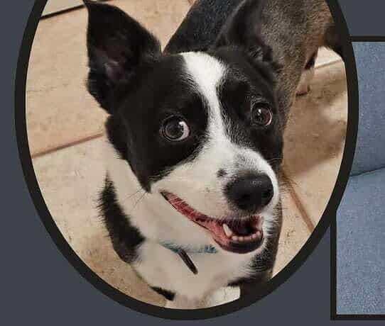 Po