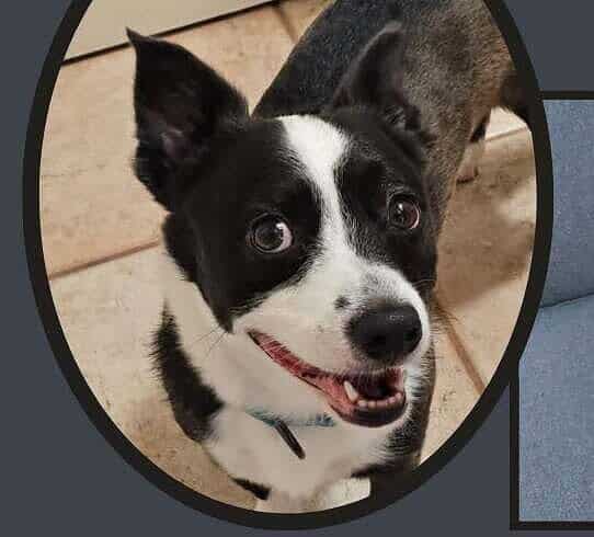 Po