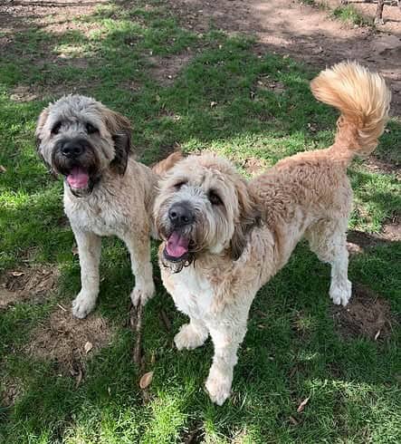 Kaia and Mika